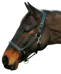 JPC EQUESTRIAN Henri de Rivel Stress Free Halter with Fancy Contrast Stitching