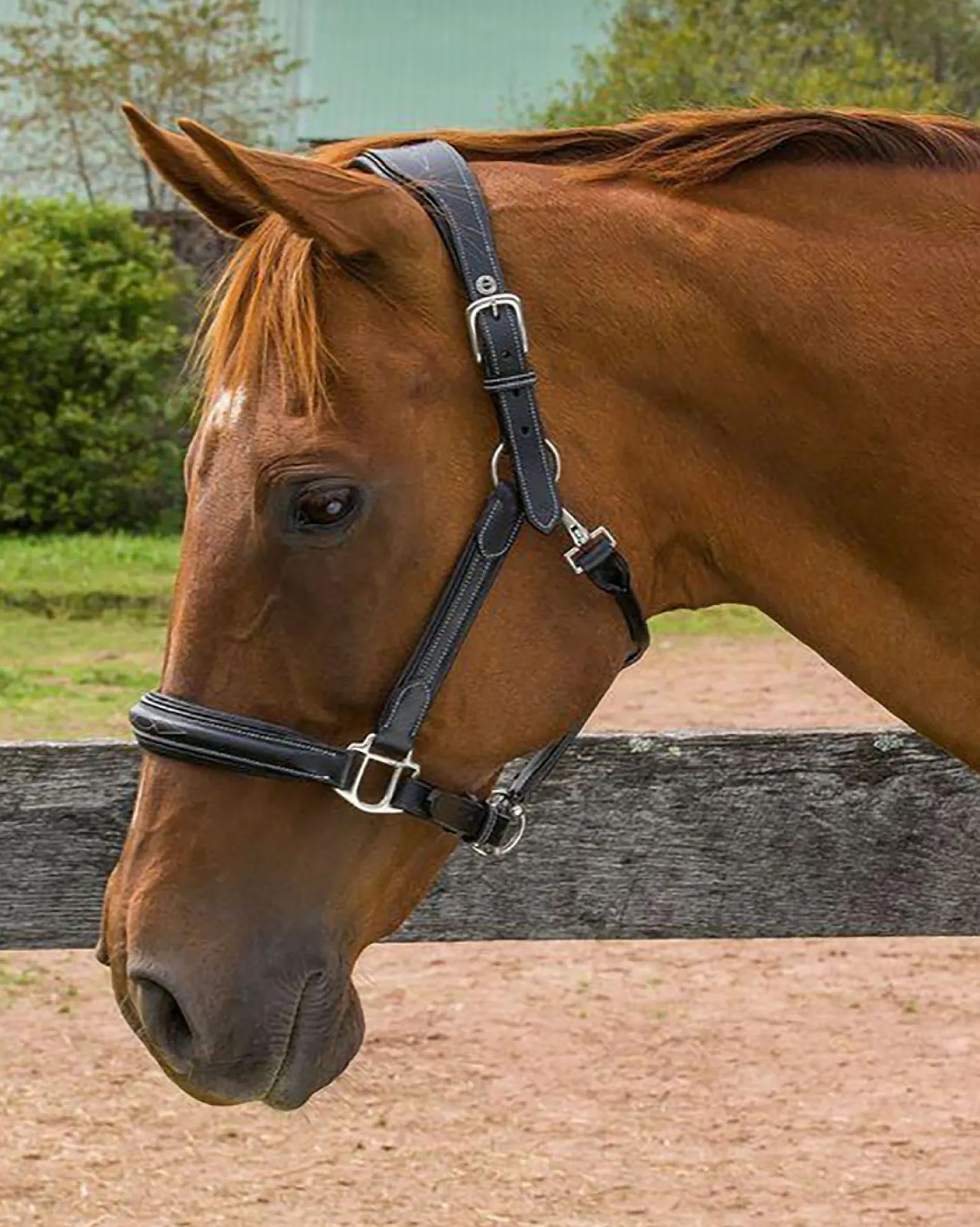 JPC EQUESTRIAN Henri de Rivel Stress Free Halter with Fancy Contrast Stitching