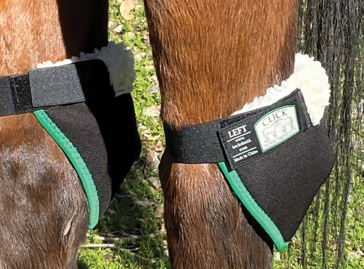CLICK HORSE PRODUCTS Hock Shield