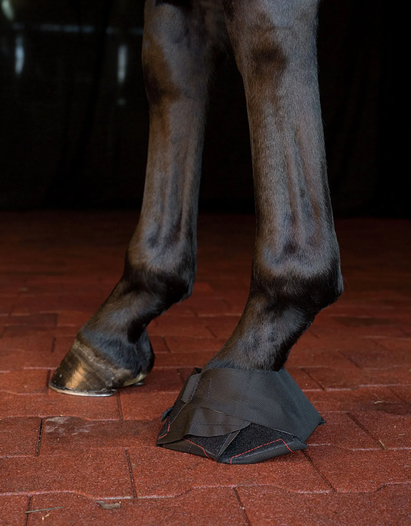 MACKINNON Hoof Wraps™ Bandage