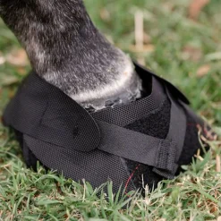 MACKINNON Hoof Wraps™ Bandage