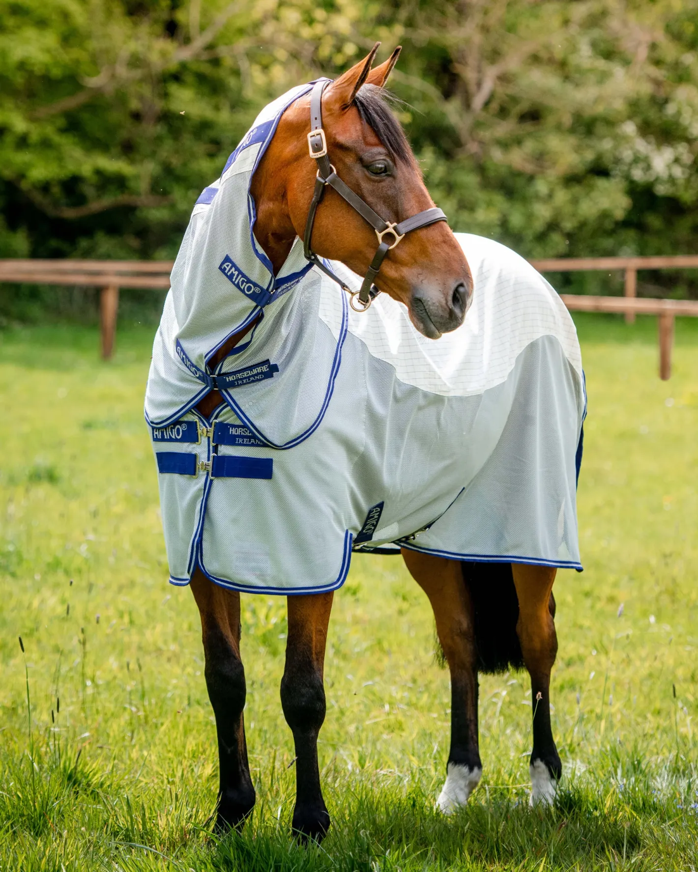 HORSEWARE ® Amigo® Airflow Sheet