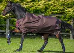 HORSEWARE ® Amigo® Hero 900 Lite Net Lined Turnout with Disc Front