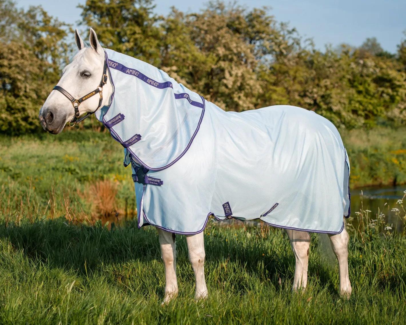 HORSEWARE ® Amigo® XL Bug Rug