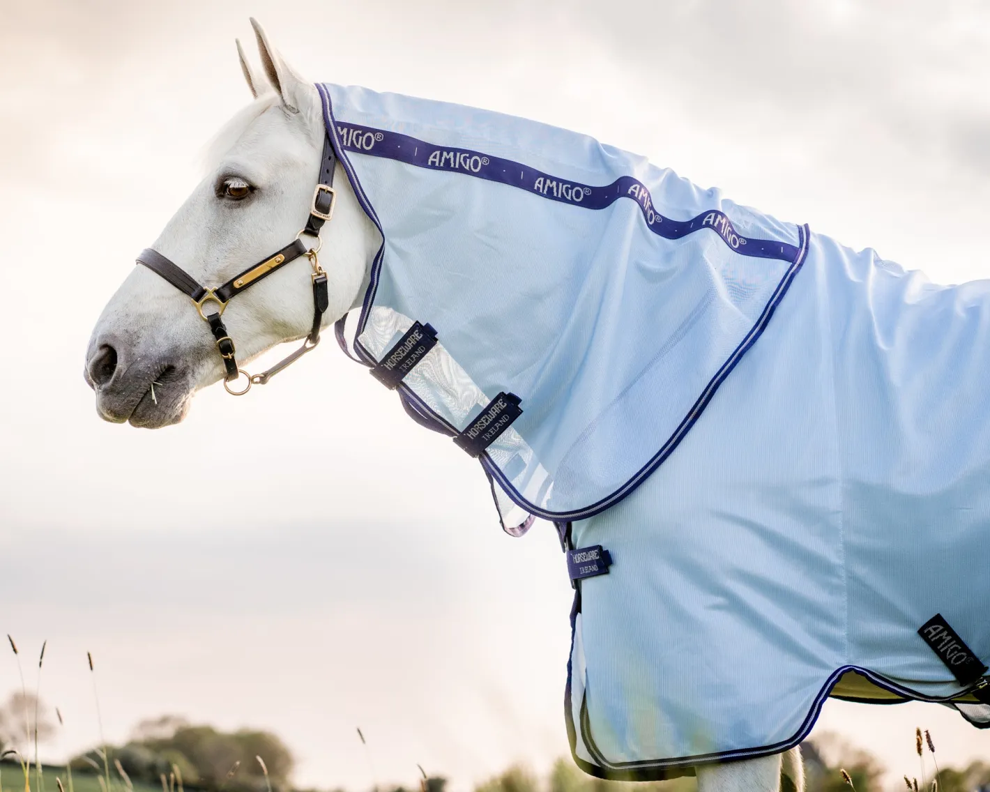 HORSEWARE ® Amigo® XL Bug Rug
