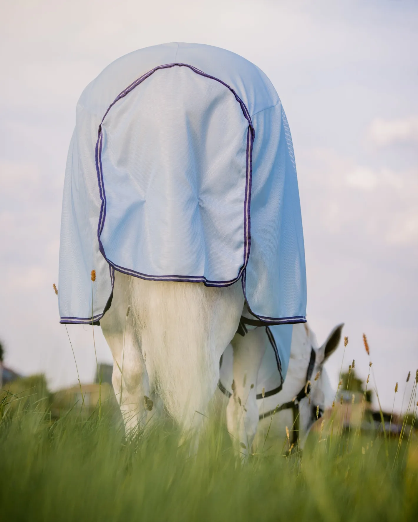 HORSEWARE ® Amigo® XL Bug Rug