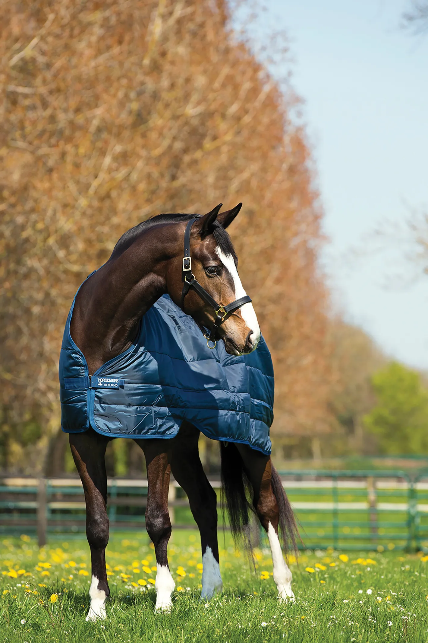 HORSEWARE ® Ireland 100 Gram Blanket Liner