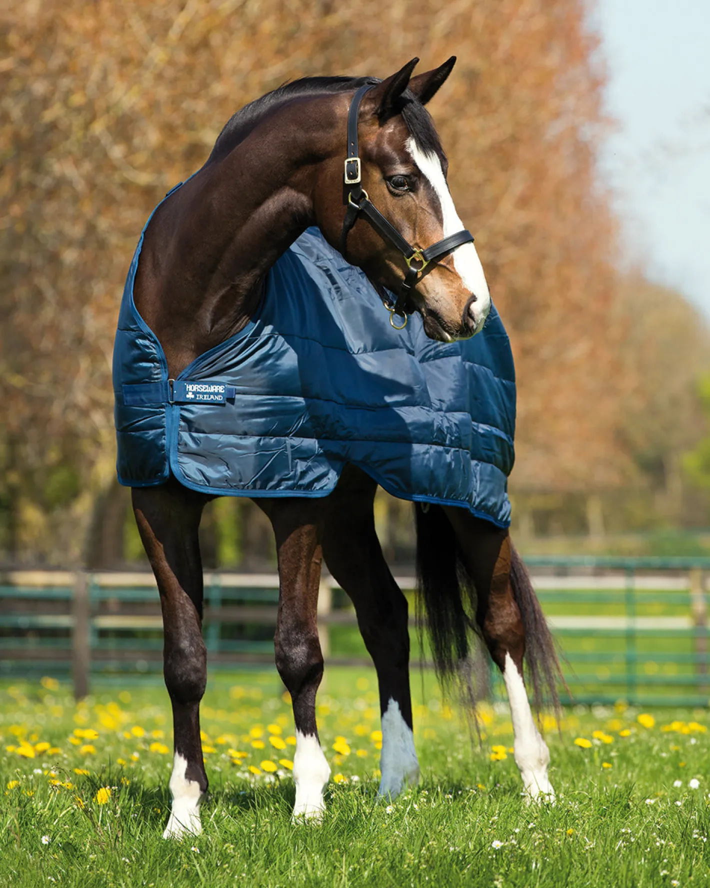 HORSEWARE ® Ireland 100 Gram Blanket Liner