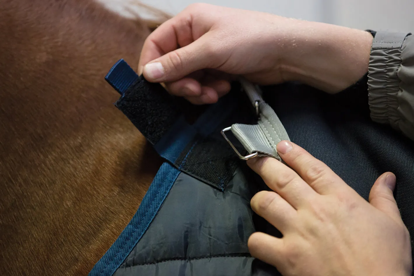 HORSEWARE ® Ireland 100 Gram Blanket Liner
