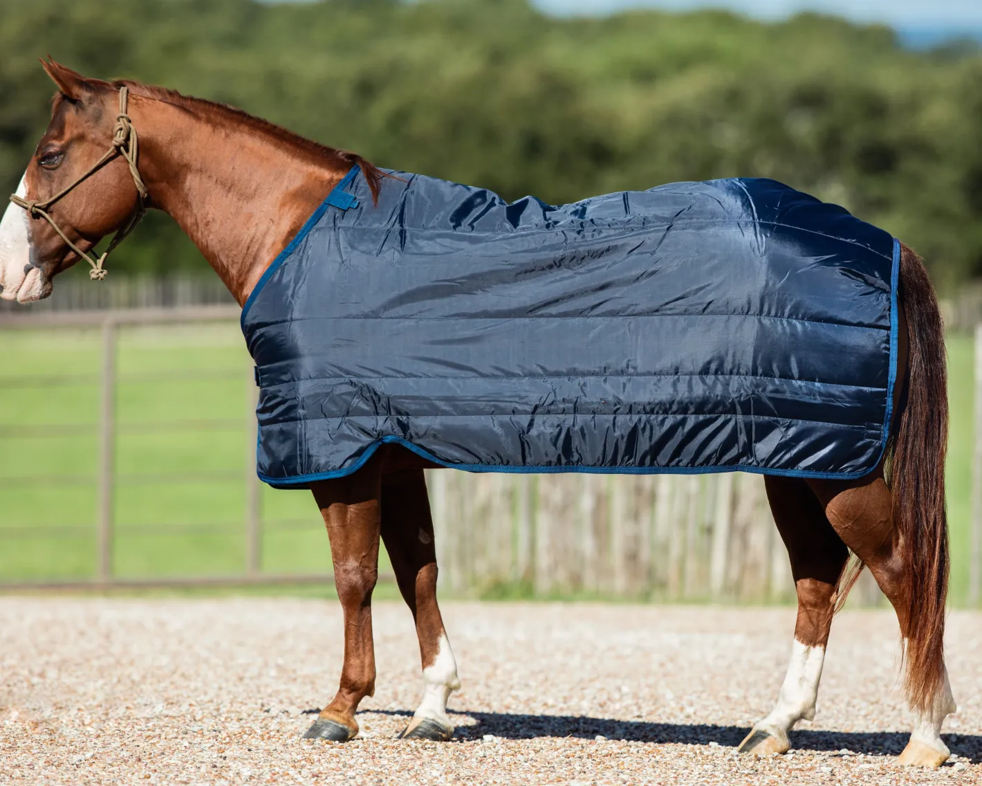 HORSEWARE ® Ireland 100 Gram Blanket Liner