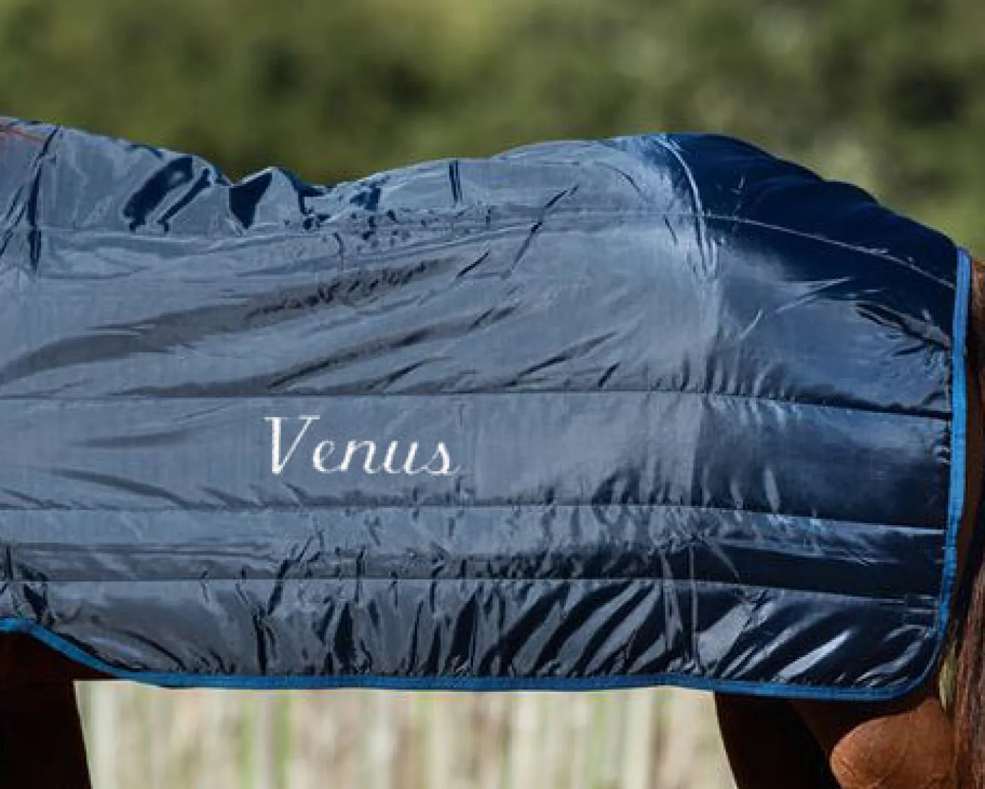 HORSEWARE ® Ireland 100 Gram Blanket Liner