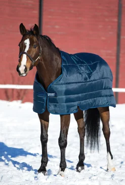 HORSEWARE ® Ireland 300 Gram Blanket Liner