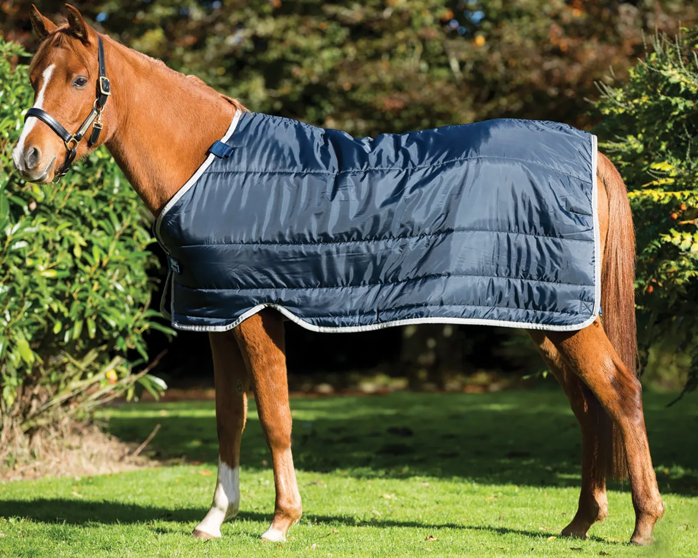 HORSEWARE ® Ireland 100 Gram Pony Blanket Liner