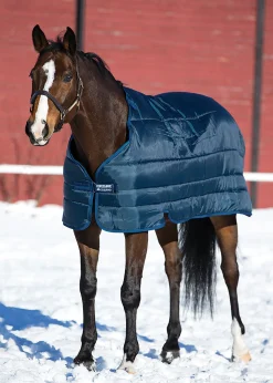 HORSEWARE ® Ireland 200 Gram Pony Blanket Liner