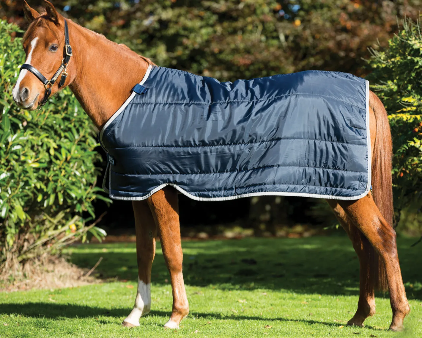 HORSEWARE ® Ireland 200 Gram Pony Blanket Liner