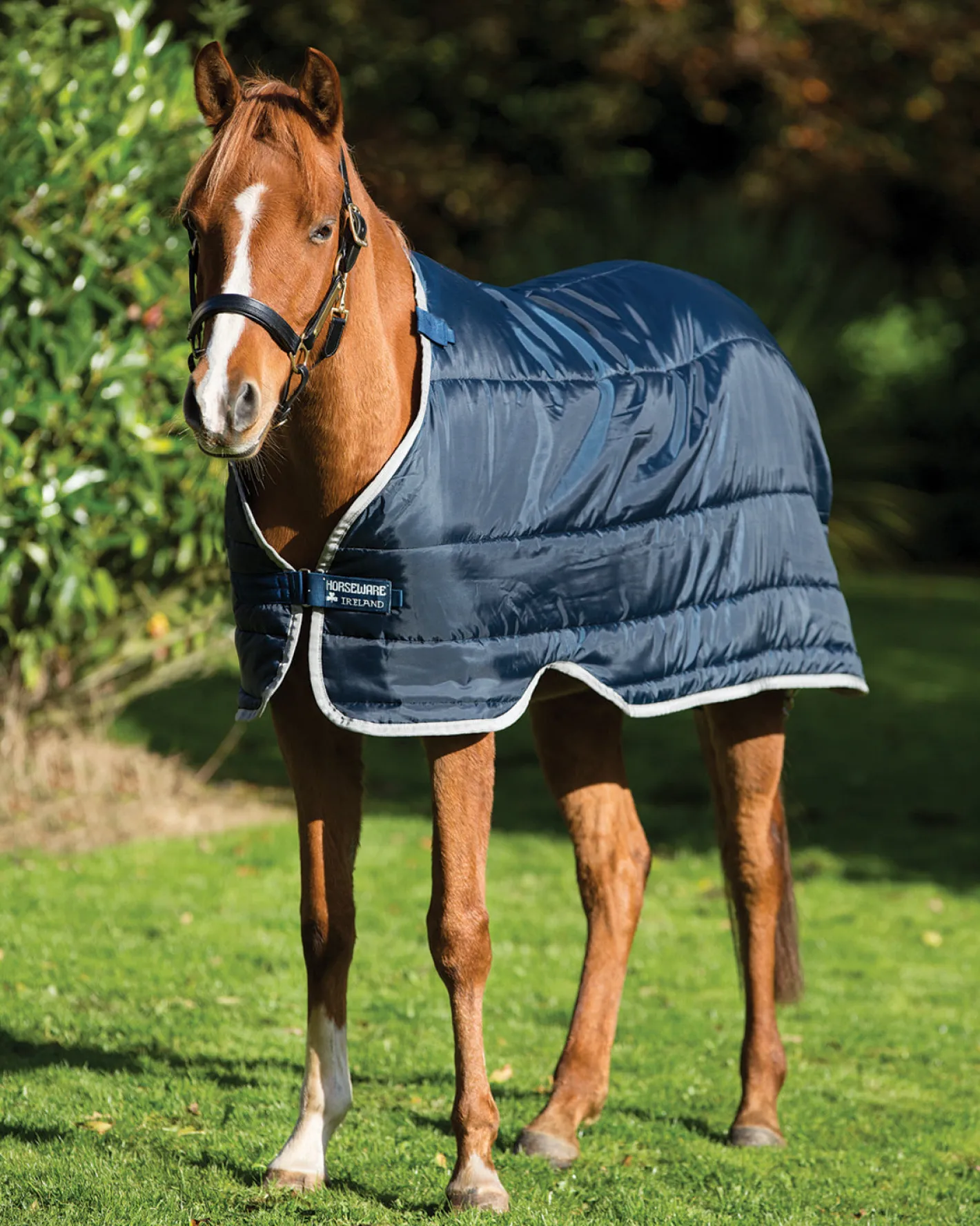HORSEWARE ® Ireland 300 Gram Pony Blanket Liner