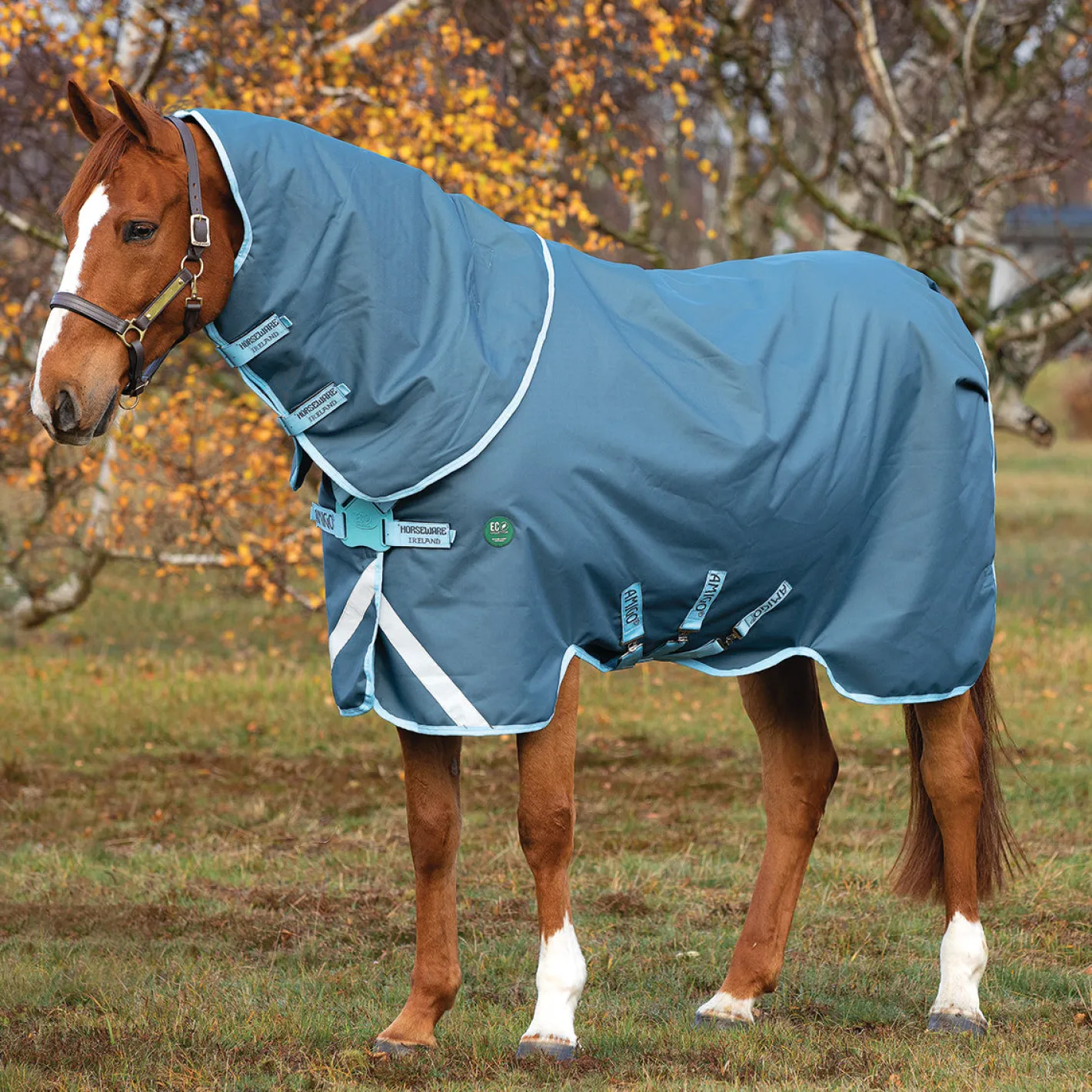 HORSEWARE ® Ireland Amigo® AmEco 12 Plus Medium-Weight Turnout Blanket