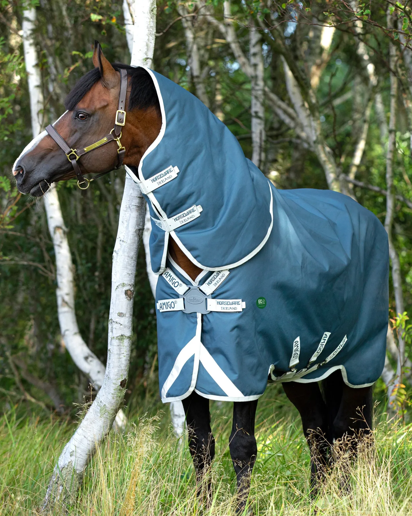 HORSEWARE ® Ireland Amigo® AmEco 12 Plus Lightweight Turnout Blanket