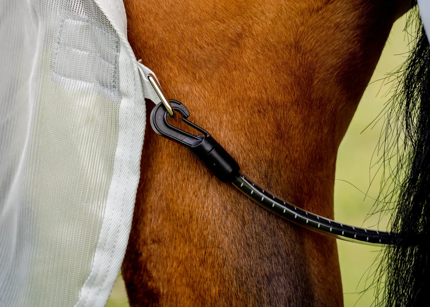 HORSEWARE ® Ireland Amigo® AmECO Combi (No Fill)