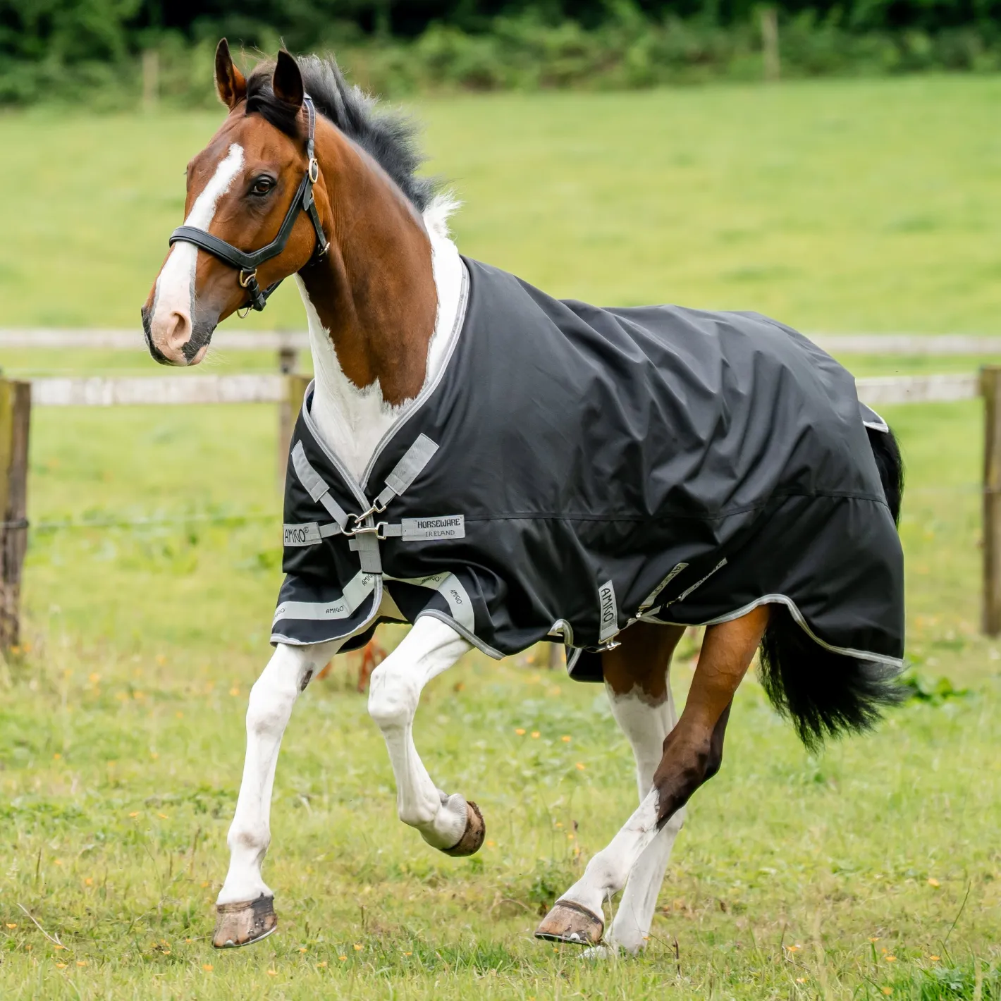 HORSEWARE ® Ireland Amigo® 1200D Turnout Standard Neck