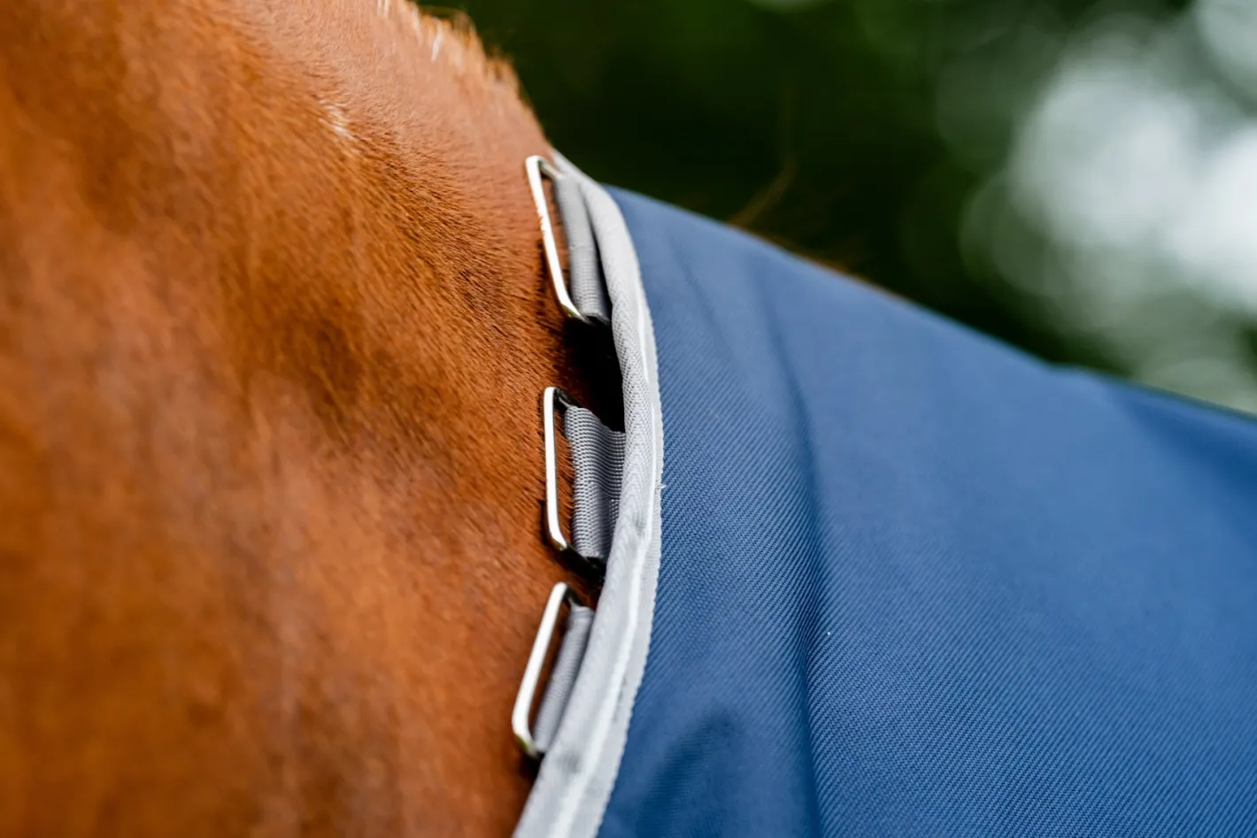 HORSEWARE ® Ireland Amigo® 1200D Turnout Standard Neck