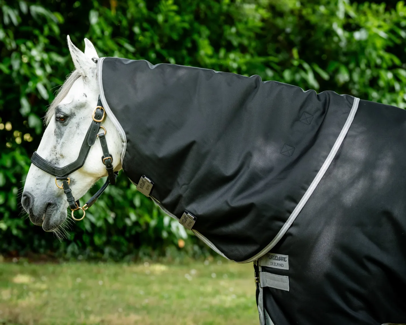 HORSEWARE ® Ireland Amigo® 1200D Plus Turnout