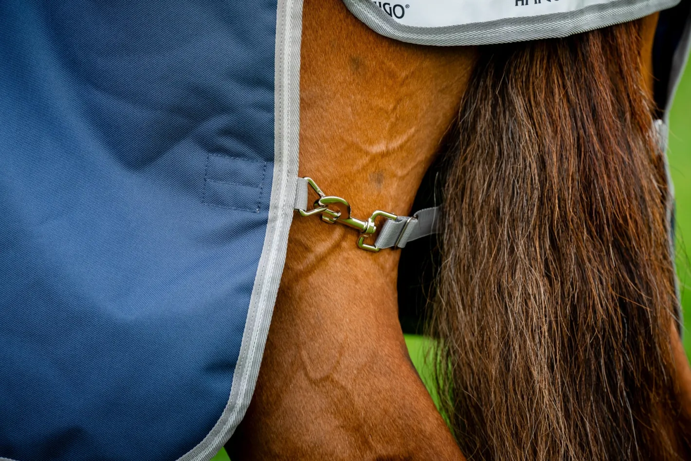 HORSEWARE ® Ireland Amigo® 1200D Plus Turnout