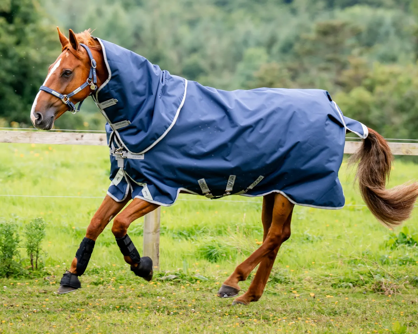 HORSEWARE ® Ireland Amigo® 1200D Plus Turnout