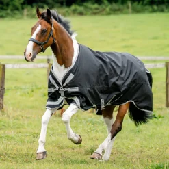 HORSEWARE ® Ireland Amigo® 1200D Turnout Sheet Standard Neck
