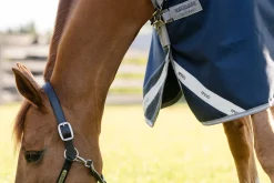 HORSEWARE ® Ireland Amigo® 1200D Turnout Sheet Standard Neck