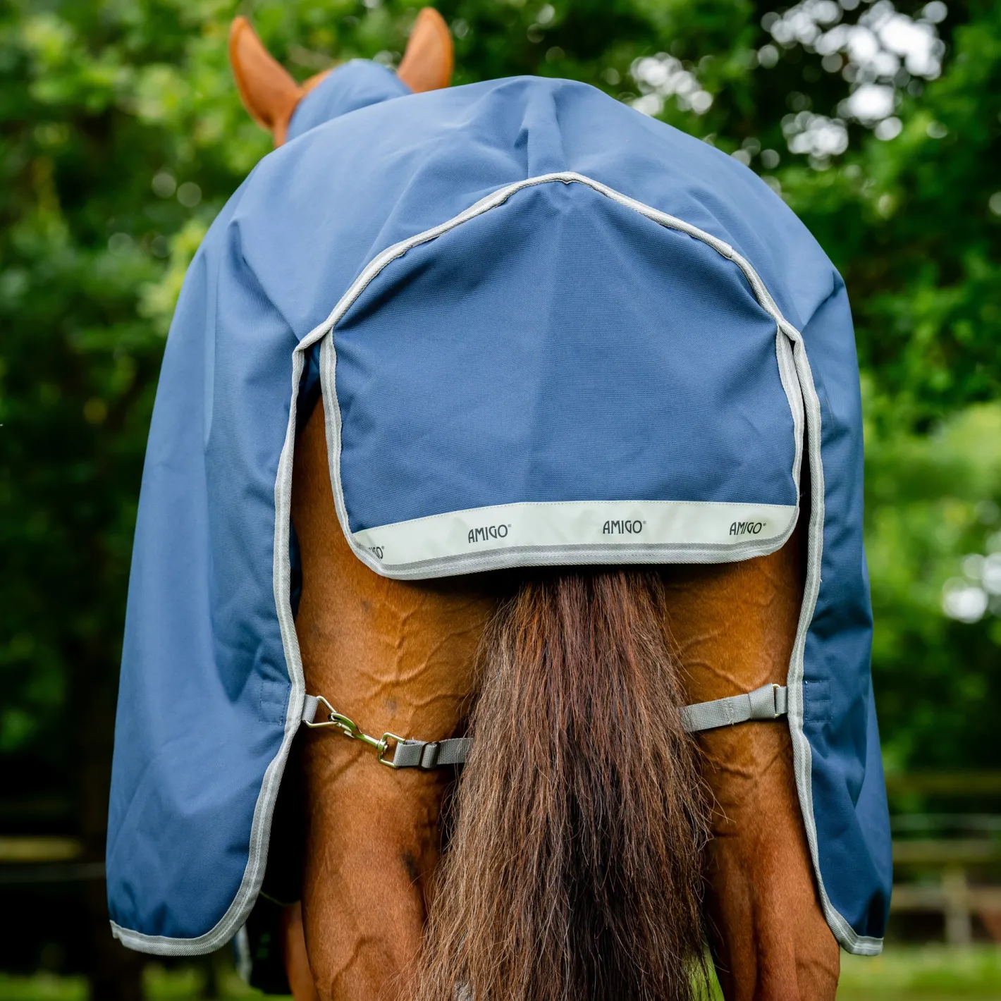 HORSEWARE ® Ireland Amigo® 1200D Turnout Sheet Standard Neck