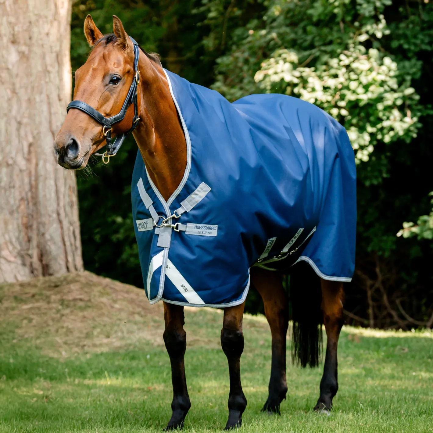 HORSEWARE ® Ireland Amigo® 1200D Wug Turnout Sheet