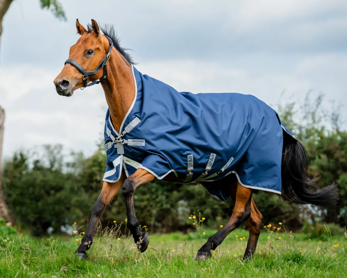 HORSEWARE ® Ireland Amigo® 1200D Wug Turnout Sheet