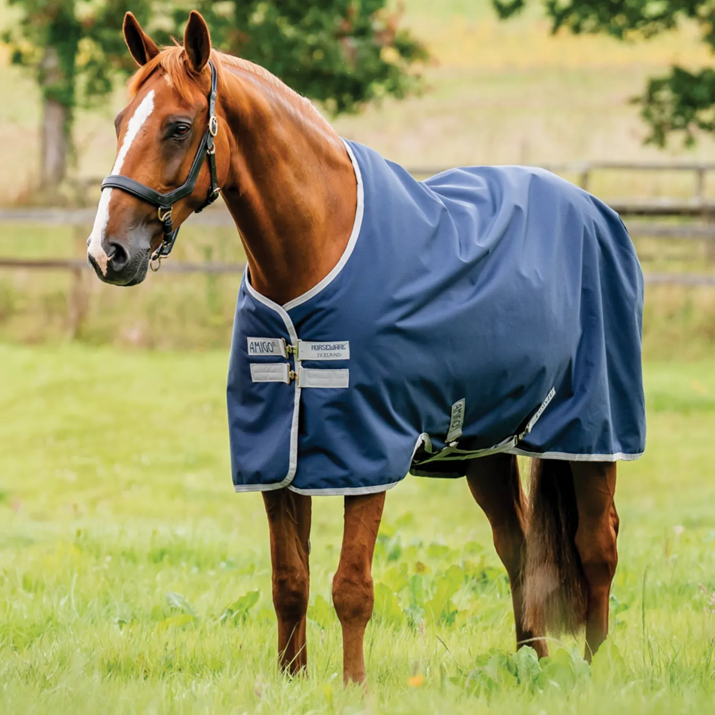 HORSEWARE ® Ireland Amigo® 900D Ripstop 0 Gram Turnout Sheet