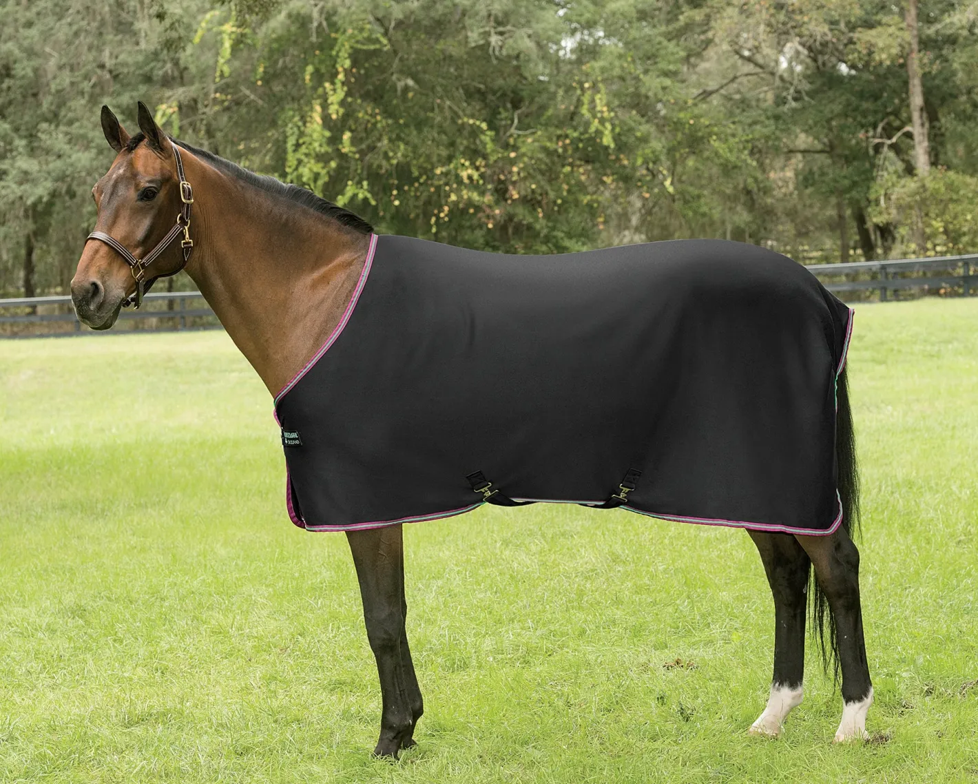 HORSEWARE ® Ireland Amigo® Jersey Cooler