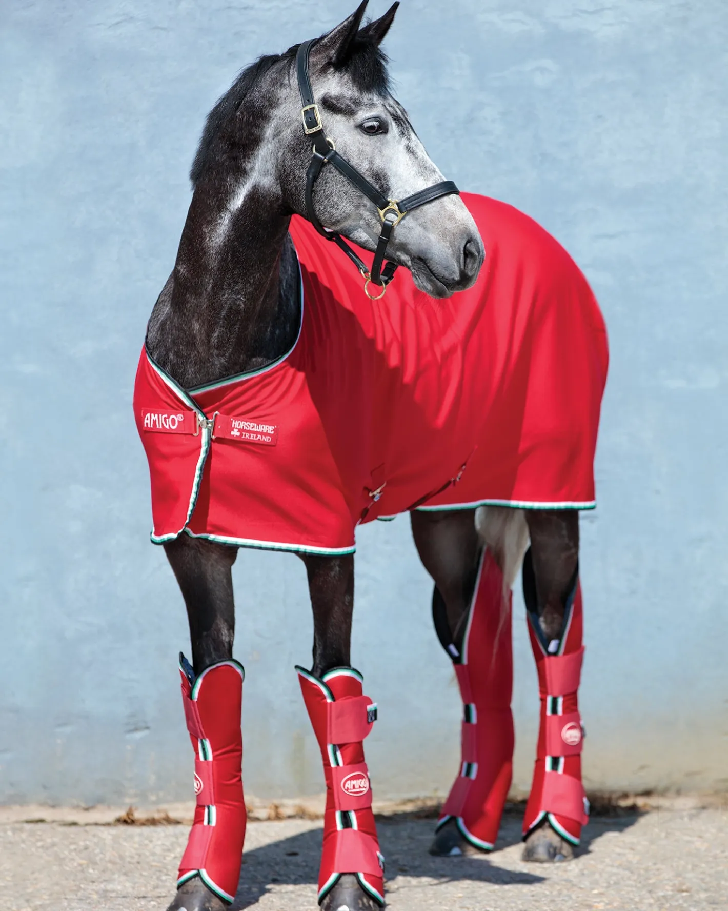 HORSEWARE ® Ireland Amigo® Jersey Cooler