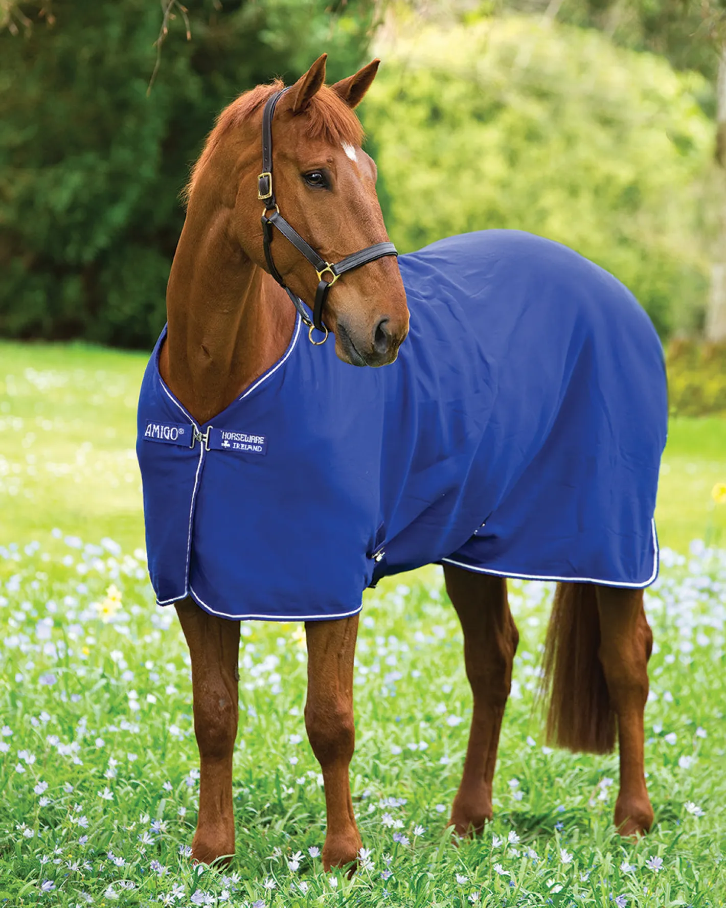 HORSEWARE ® Ireland Amigo® Jersey Cooler