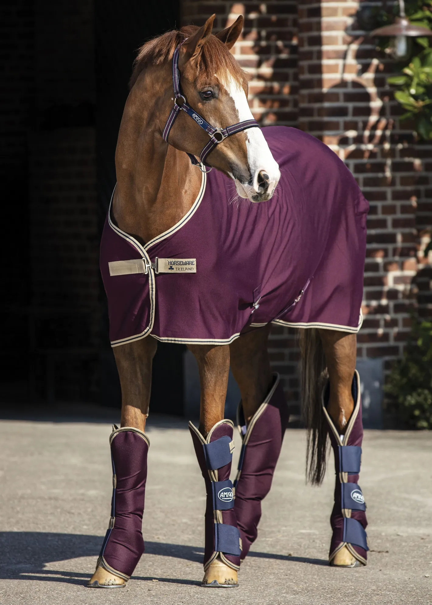 HORSEWARE ® Ireland Amigo® Jersey Cooler