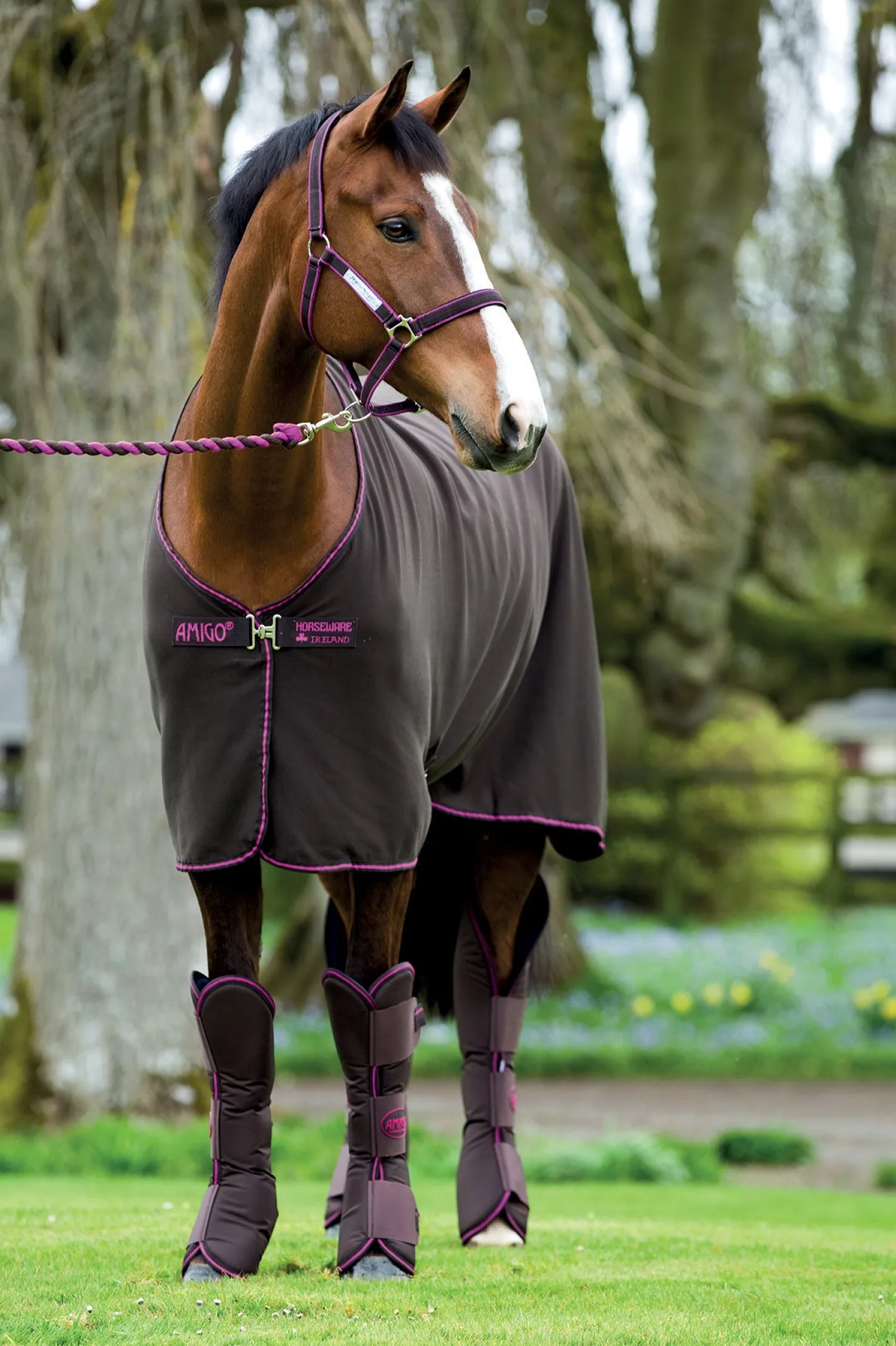 HORSEWARE ® Ireland Amigo® Jersey Cooler