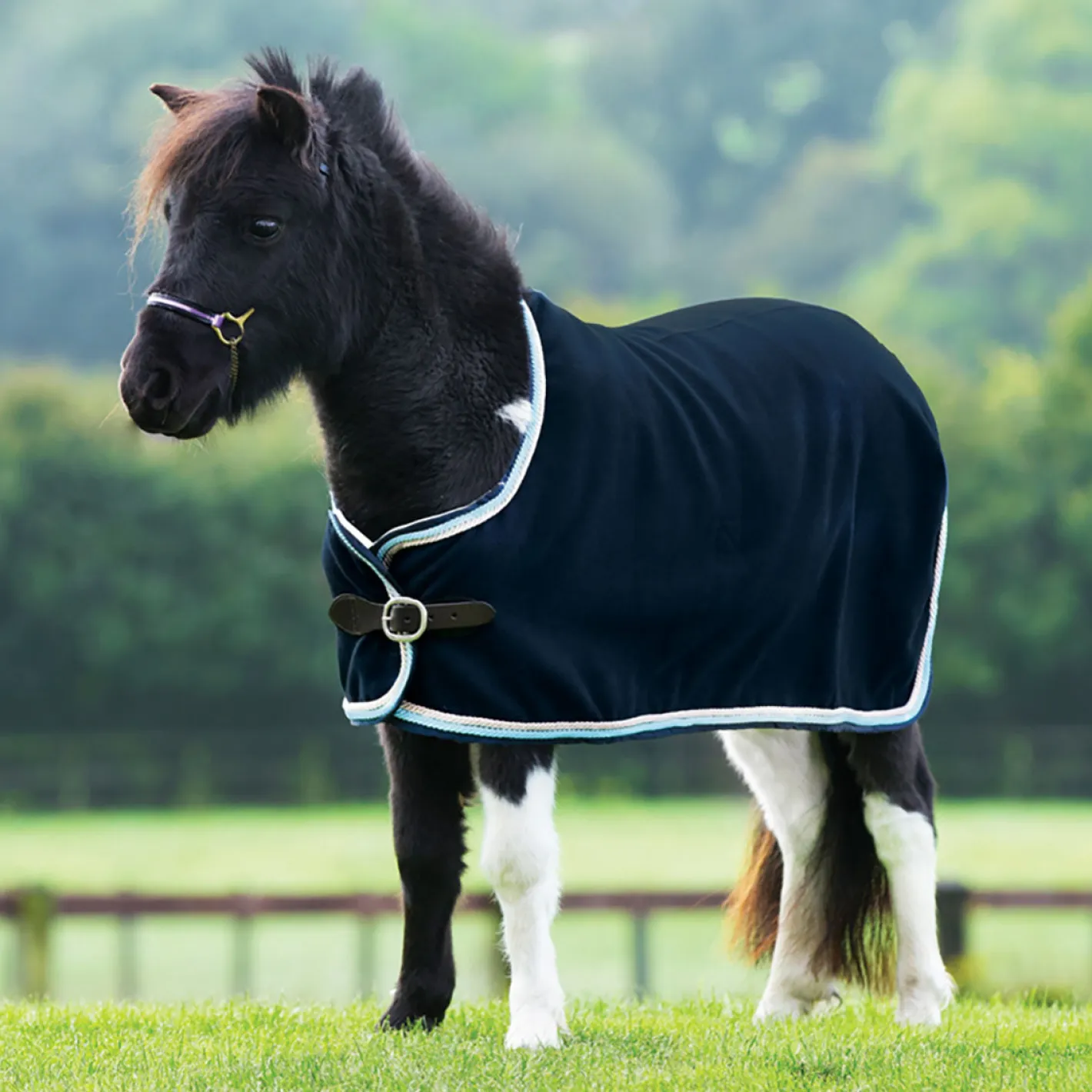 HORSEWARE ® Ireland Amigo® Petite Show Rug