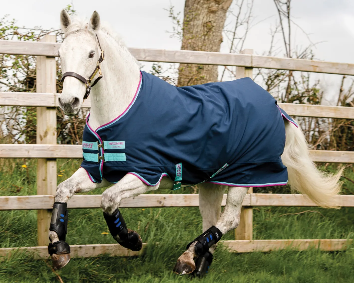 HORSEWARE ® Ireland Amigo® Pony Hero 900D Medium-Weight Turnout Blanket