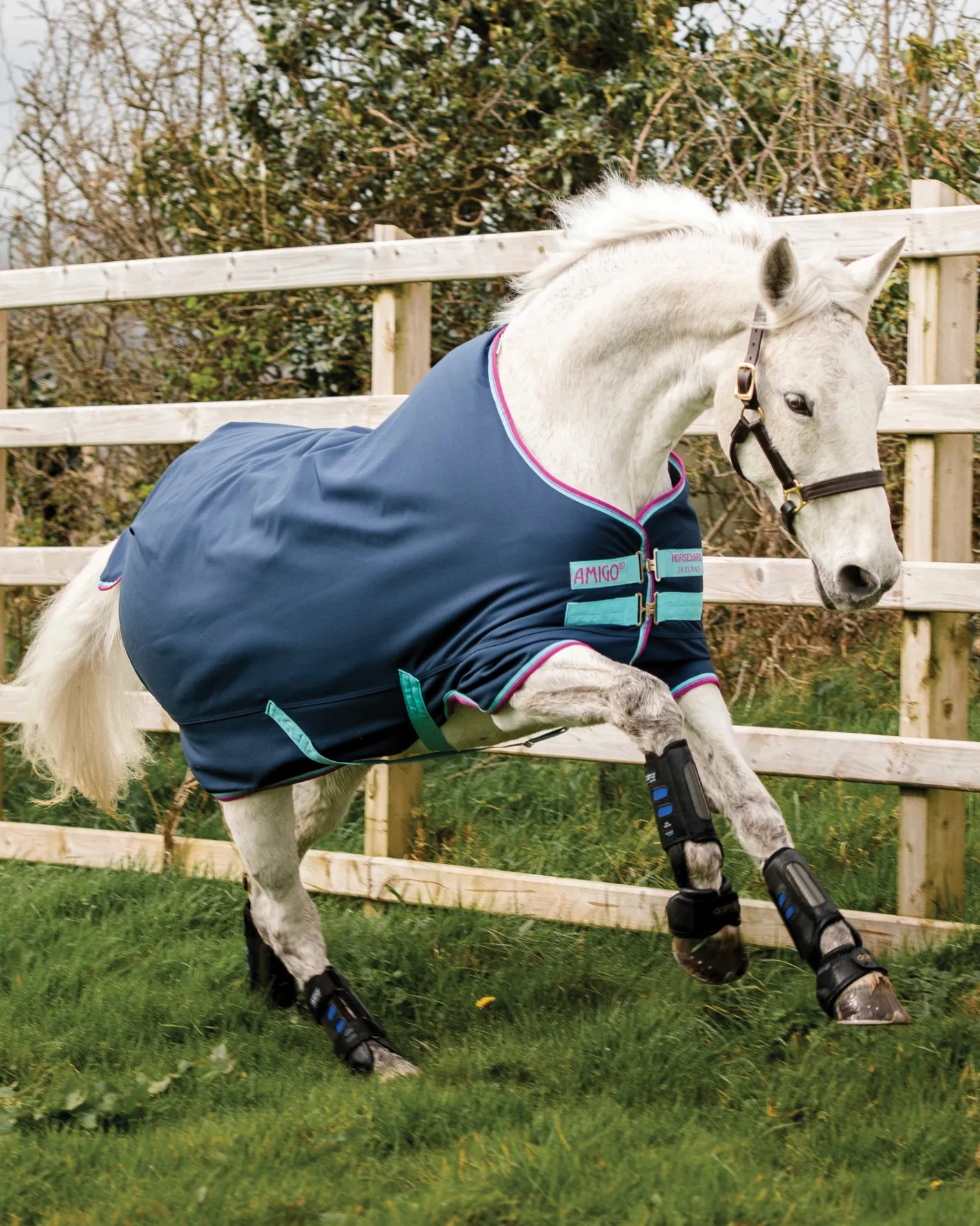 HORSEWARE ® Ireland Amigo® Pony Hero 900D Medium-Weight Turnout Blanket