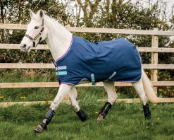 HORSEWARE ® Ireland Amigo® Pony Hero 900D Medium-Weight Turnout Blanket