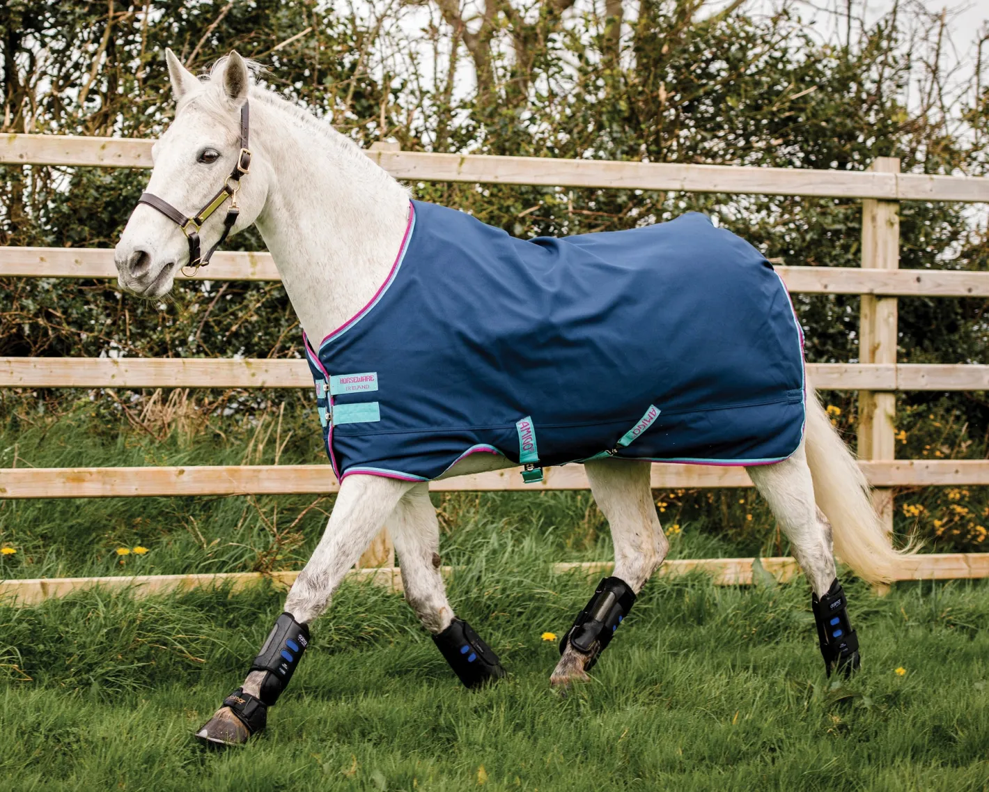 HORSEWARE ® Ireland Amigo® Pony Hero 900D Medium-Weight Turnout Blanket