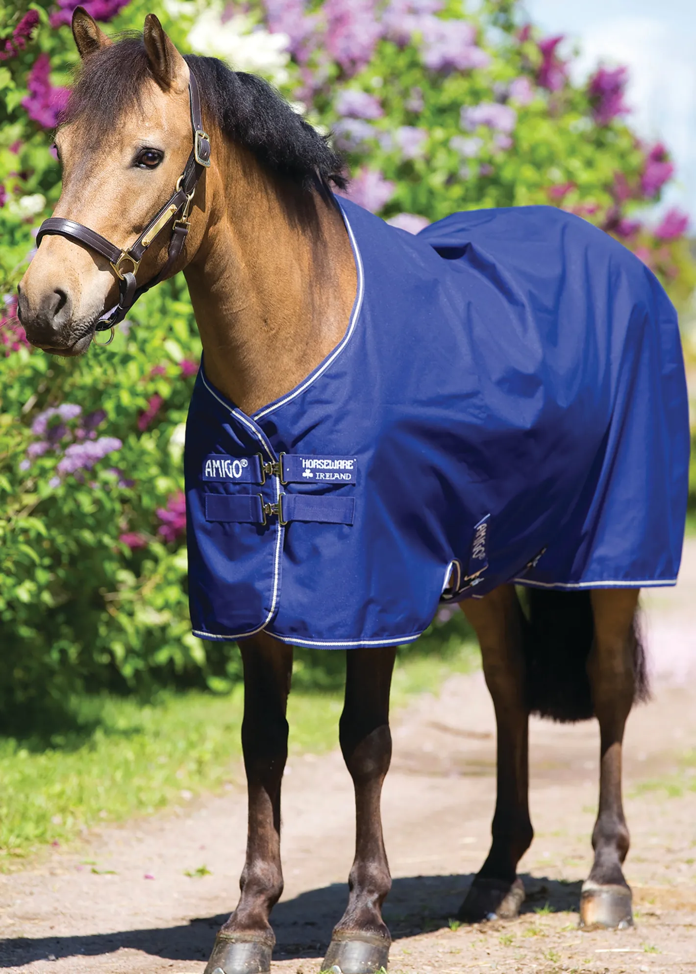 HORSEWARE ® Ireland Amigo® Pony Hero 900D Lite Turnout Sheet