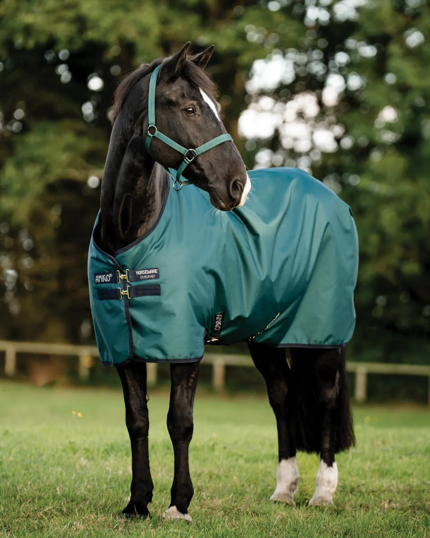 HORSEWARE ® Ireland Amigo® Ripstop 900D 50 Gram Standard Neck Turnout
