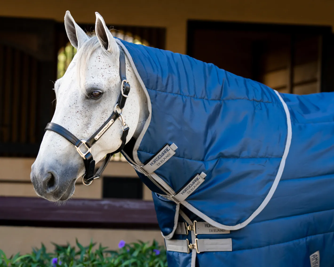 HORSEWARE ® Ireland Amigo® Ripstop Insulator Stable Hood - 100G