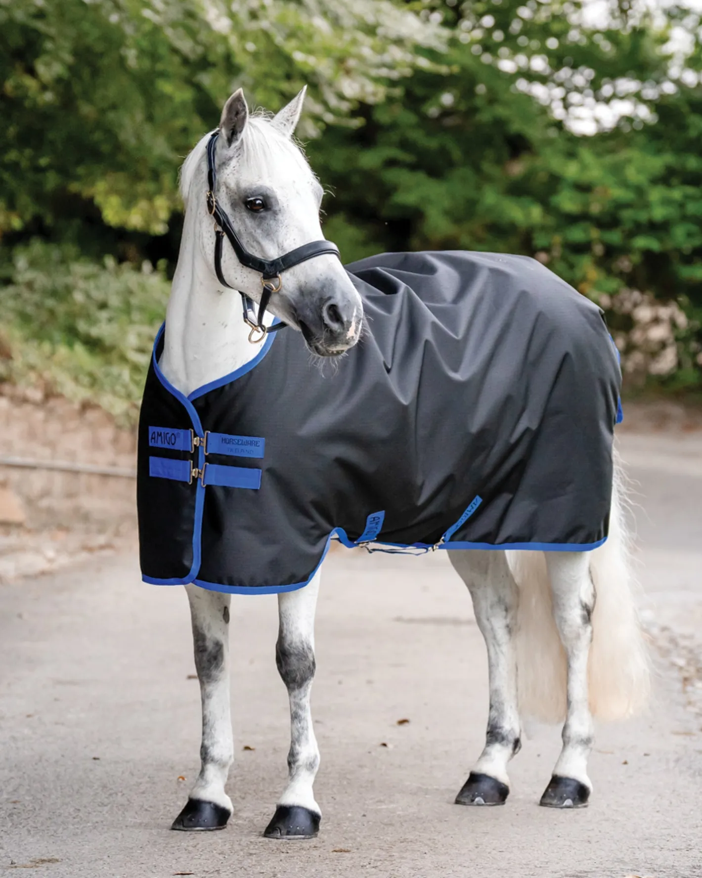 HORSEWARE ® Ireland Amigo® Ripstop 900D 100 Gram Standard Neck Pony Turnout
