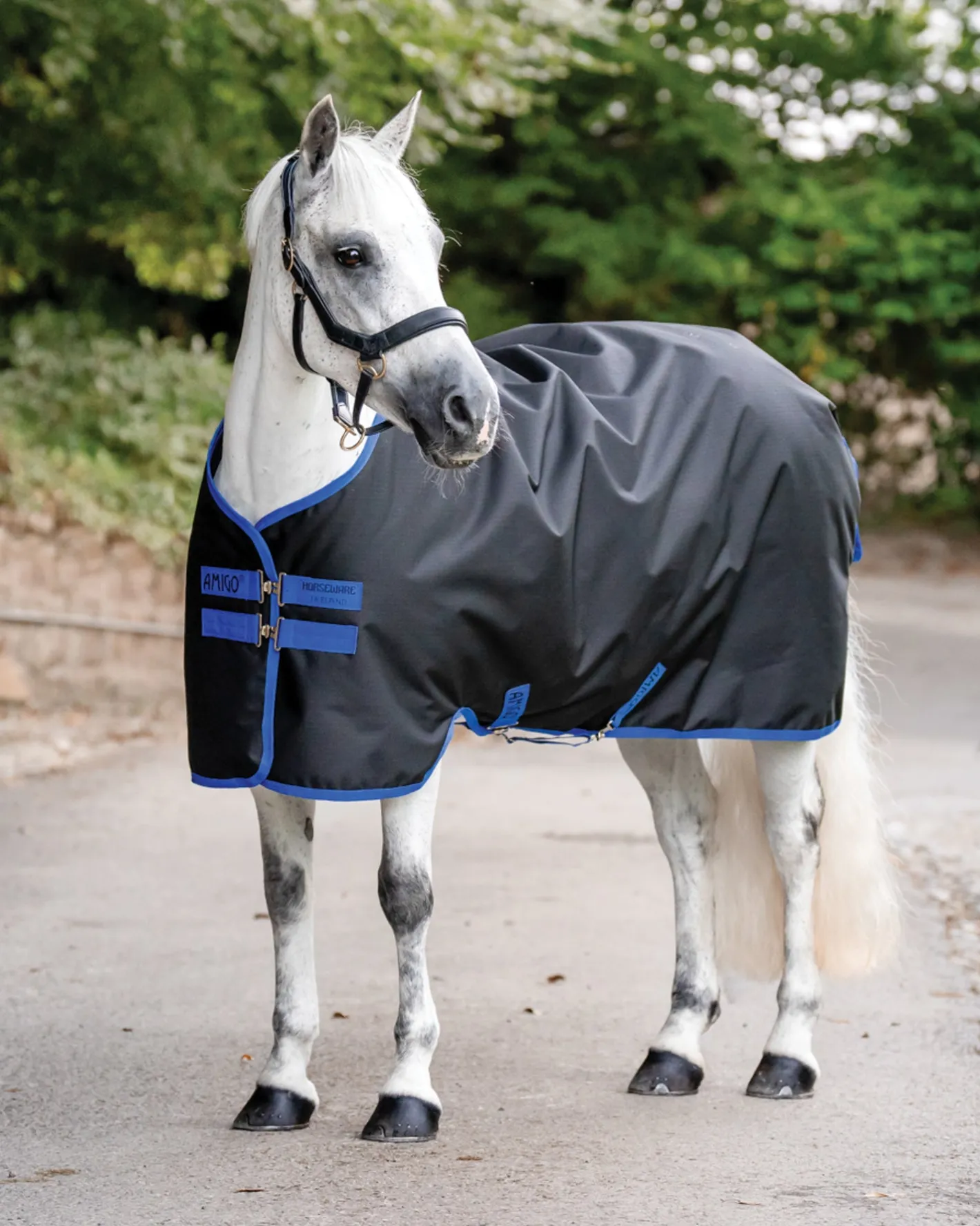 HORSEWARE ® Ireland Amigo® Ripstop 900D 100 Gram Standard Neck Pony Turnout