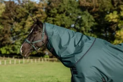 HORSEWARE ® Ireland Amigo® Ripstop 900D Plus Turnout Sheet